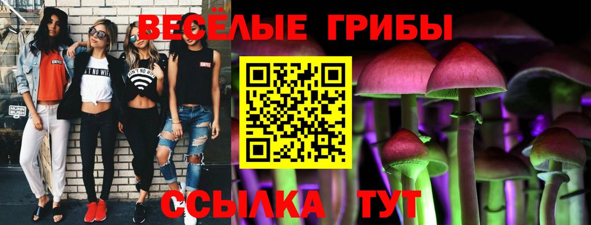 Псилоцибиновые грибы Magic Shrooms  Вход с VPN  Выкса 